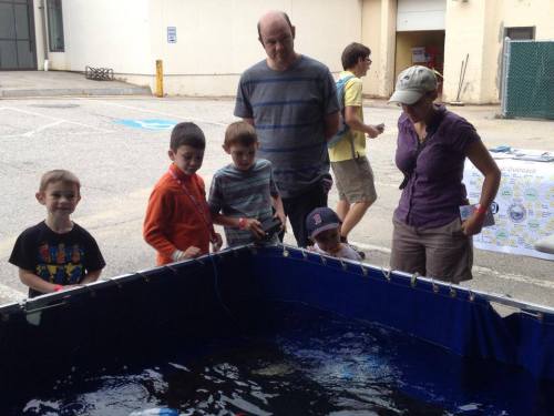 Driving the SeaPerch program's submersible ROVs was very popular